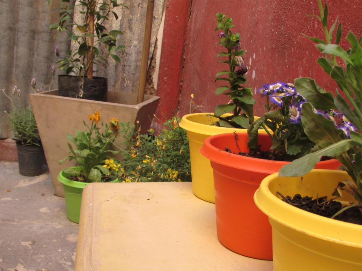 Casa Artigas Hostel 科尔多瓦 外观 照片